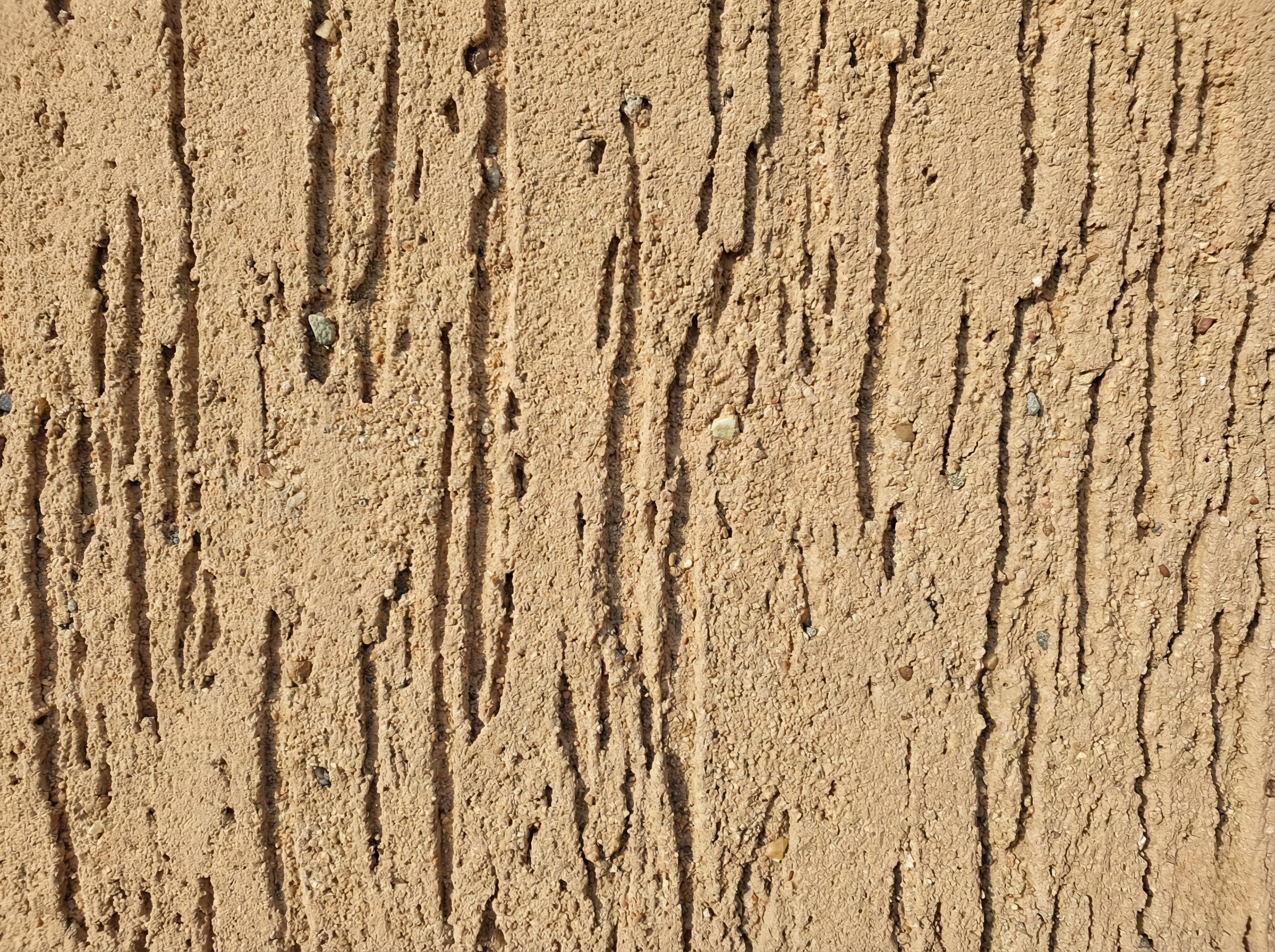 Фасад Короїд