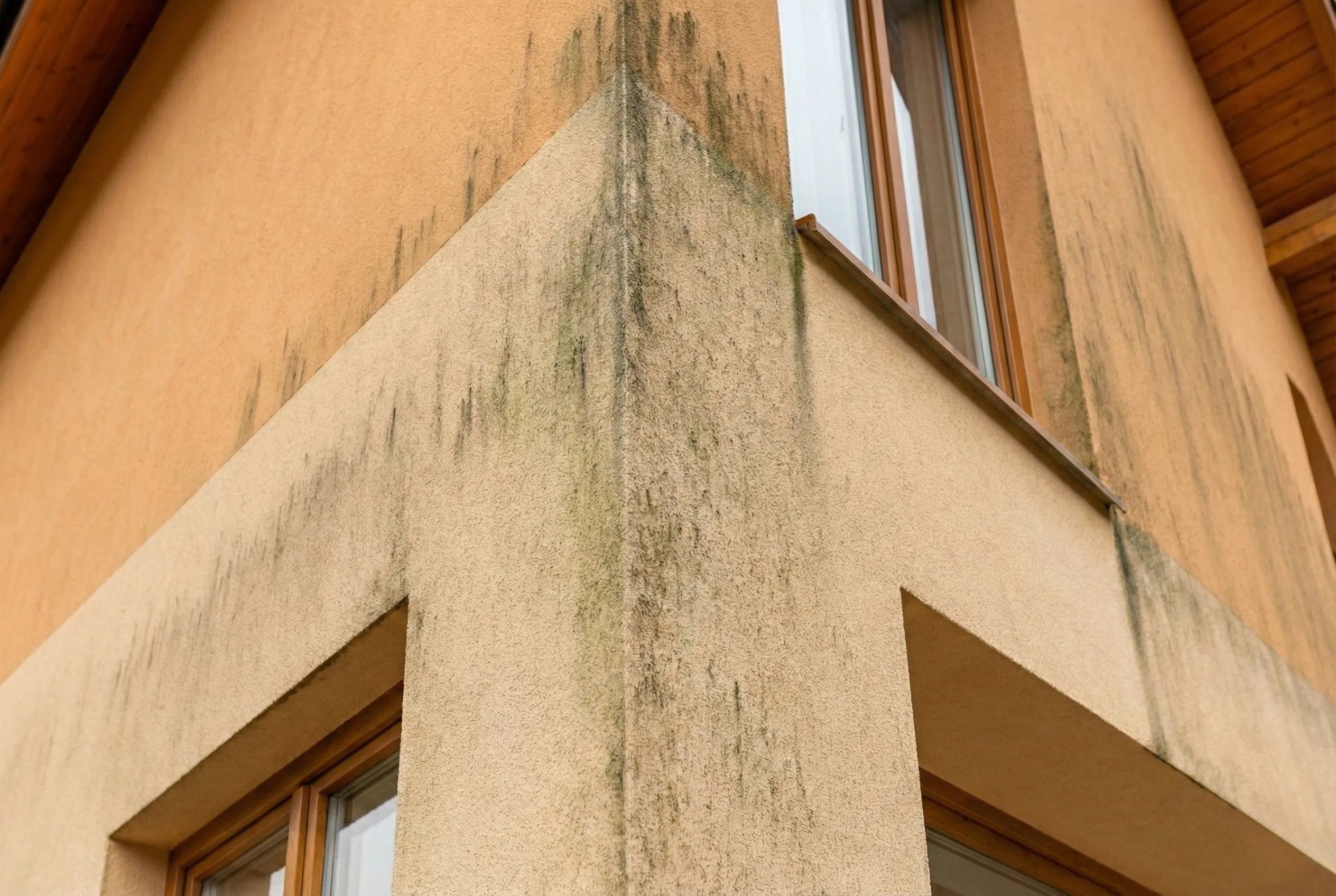 Фасад до ремонту